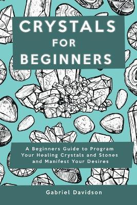 Crystal for Beginners(English, Paperback, Davidson Gabriel)