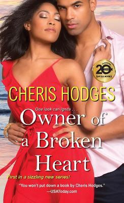 Owner of a Broken Heart(English, Paperback, Hodges Cheris)