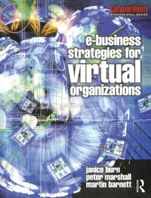 e-Business Strategies for Virtual Organizations(English, Paperback, Burn Janice)