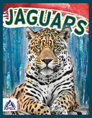 Wild Cats: Jaguars(English, Paperback, Geister-Jones Sophie)