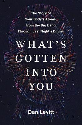 What's Gotten into You(English, Paperback, Levitt Dan)