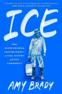 Ice(English, Hardcover, Brady Amy)