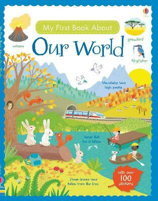 My First Book About Our World(English, Paperback, Brooks Felicity)