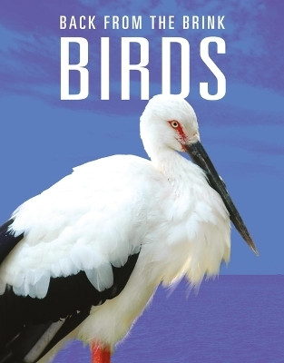 Birds: Back from the Brink(English, Paperback, Mattern Joanne)