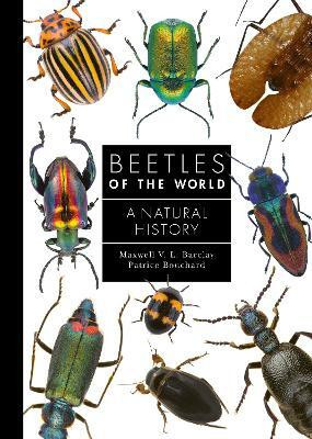 Beetles of the World(English, Hardcover, Barclay Maxwell V. L.)