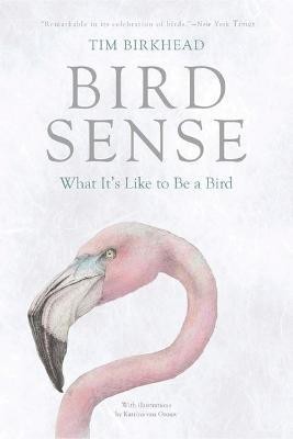 Bird Sense(English, Electronic book text, Birkhead Tim)