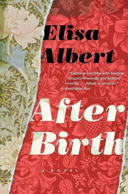 After Birth(English, Paperback, Albert Elisa)