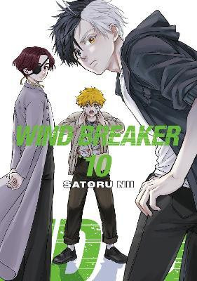 WIND BREAKER 10(English, Paperback, Nii Satoru)
