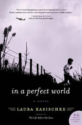 In a Perfect World(English, Paperback, Kasischke Laura Author)