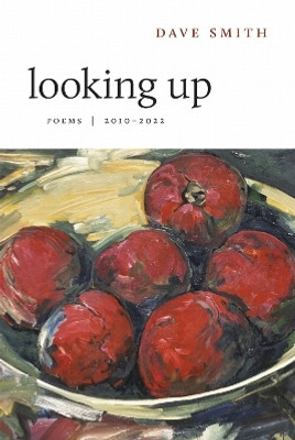 Looking Up(English, Paperback, Smith Dave)