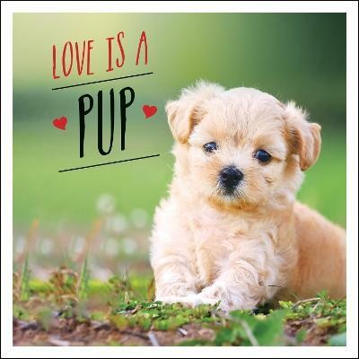 Love is a Pup(English, Hardcover, Ellis Charlie)