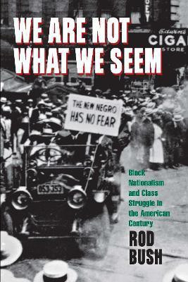 We Are not What We Seem(English, Electronic book text, Bush Roderick D.)