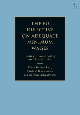 The EU Directive on Adequate Minimum Wages(English, Hardcover, unknown)