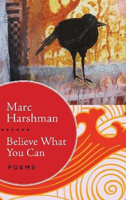 Believe What You Can(English, Paperback, Harshman Marc)