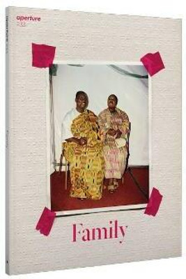 Aperture 233: Family(English, Paperback, unknown)