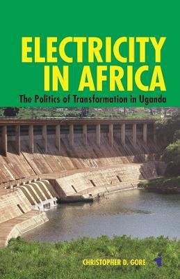 Electricity in Africa(English, Paperback, Gore Christopher)