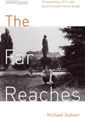 The Far Reaches(English, Electronic book text, Gubser Michael D.)