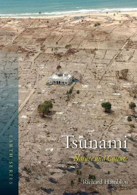 Tsunami(English, Paperback, Hamblyn Richard)
