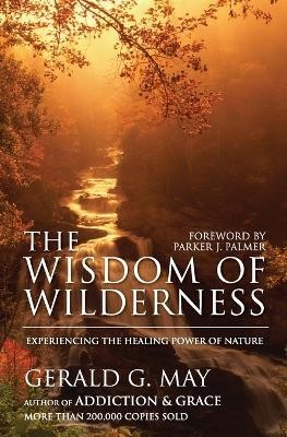 The Wisdom of Wilderness(English, Paperback, May Gerald G)