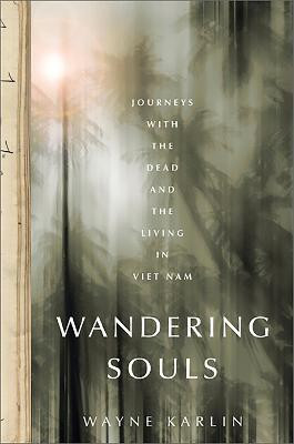Wandering Souls(English, Paperback, Karlin Wayne)