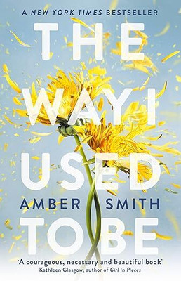 The Way I Used To Be(Paperback, Amber Smith)