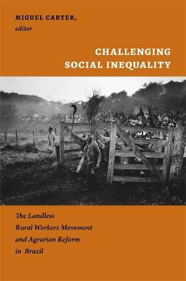 Challenging Social Inequality(English, Paperback, unknown)