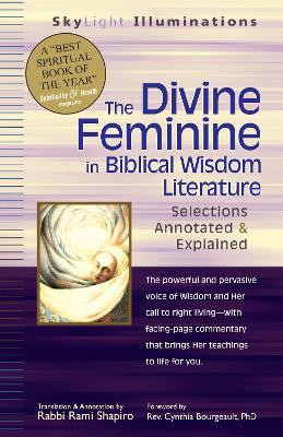 The Divine Feminine in Biblical Wisdom Literature(English, Paperback, Shapiro Rabbi Rami)