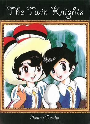 the-twin-knights-english-paperback