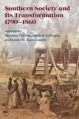Southern Society and Its Transformations(English, Paperback, unknown)