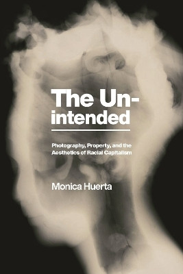 The Unintended(English, Paperback, Huerta Monica)