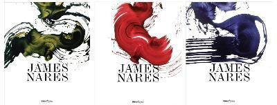 James Nares(English, Hardcover, Taubin Amy)