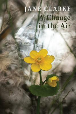 A Change in the Air(English, Paperback, Clarke Jane)