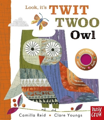 Look, It's Twit Twoo Owl(English, Board book, Reid Camilla)