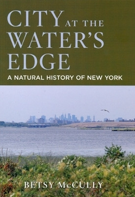 City at the Water's Edge(English, Hardcover, McCully Betsy)