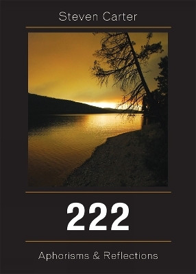 222(English, Paperback, Carter Steven)