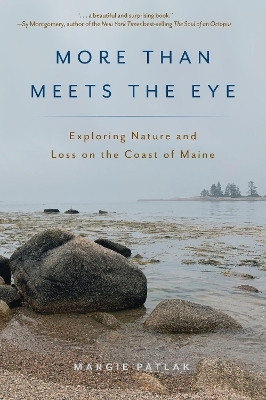 More Than Meets the Eye(English, Paperback, Patlak Margie)