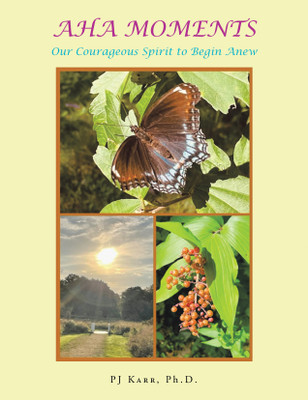 AHA MOMENTS OUR COURAGEOUS SPIRIT TO BEGIN ANEW(Paperback, PJ Karr Ph.D.)