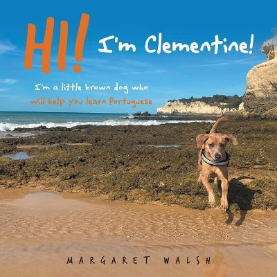 Hi! I'm Clementine!(English, Paperback, Walsh Margaret)