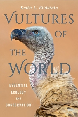 Vultures of the World(English, Electronic book text, Bildstein Keith L.)