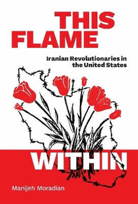 This Flame Within(English, Hardcover, Moradian Manijeh)