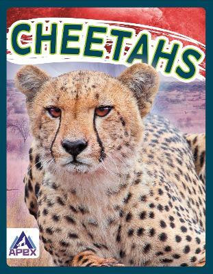 Wild Cats: Cheetahs(English, Paperback, Geister-Jones Sophie)