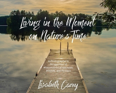 Living in the Moment on Nature's Time(English, Hardcover, Carey Lisabeth)