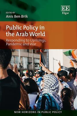 Public Policy in the Arab World(English, Hardcover, unknown)