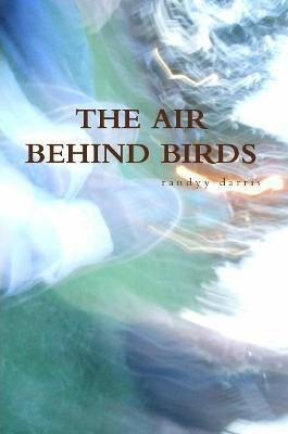 The Air Behind Birds(English, Paperback, Darris Randyy)