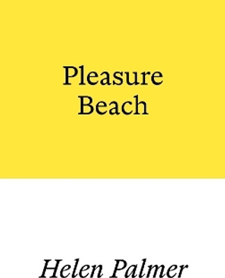 Pleasure Beach(English, Paperback, Palmer Helen)