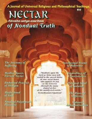 Nectar of Nondual Truth #39(English, Paperback, Shapiro Rabbi Rami)