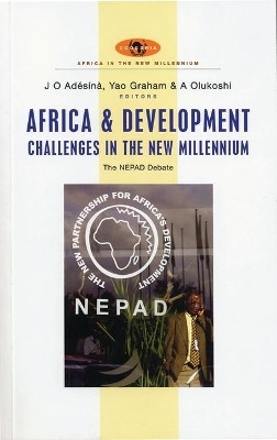 Africa and Development Challenges in the New Millennium(English, Paperback, unknown)