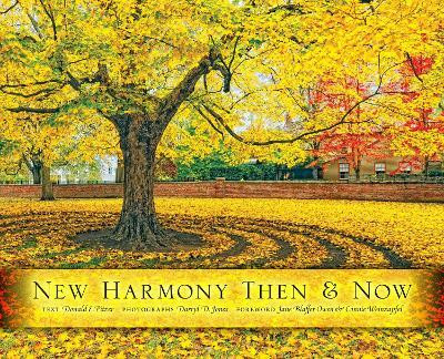 New Harmony Then and Now(English, Hardcover, Jones Darryl D.)