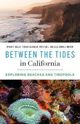 Between the Tides in California(English, Paperback, Kelly Ryan P.)