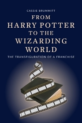 From Harry Potter to the Wizarding World(English, Hardcover, Brummitt Cassie)